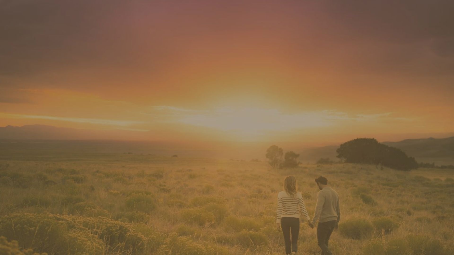 Evolutionary Relationships