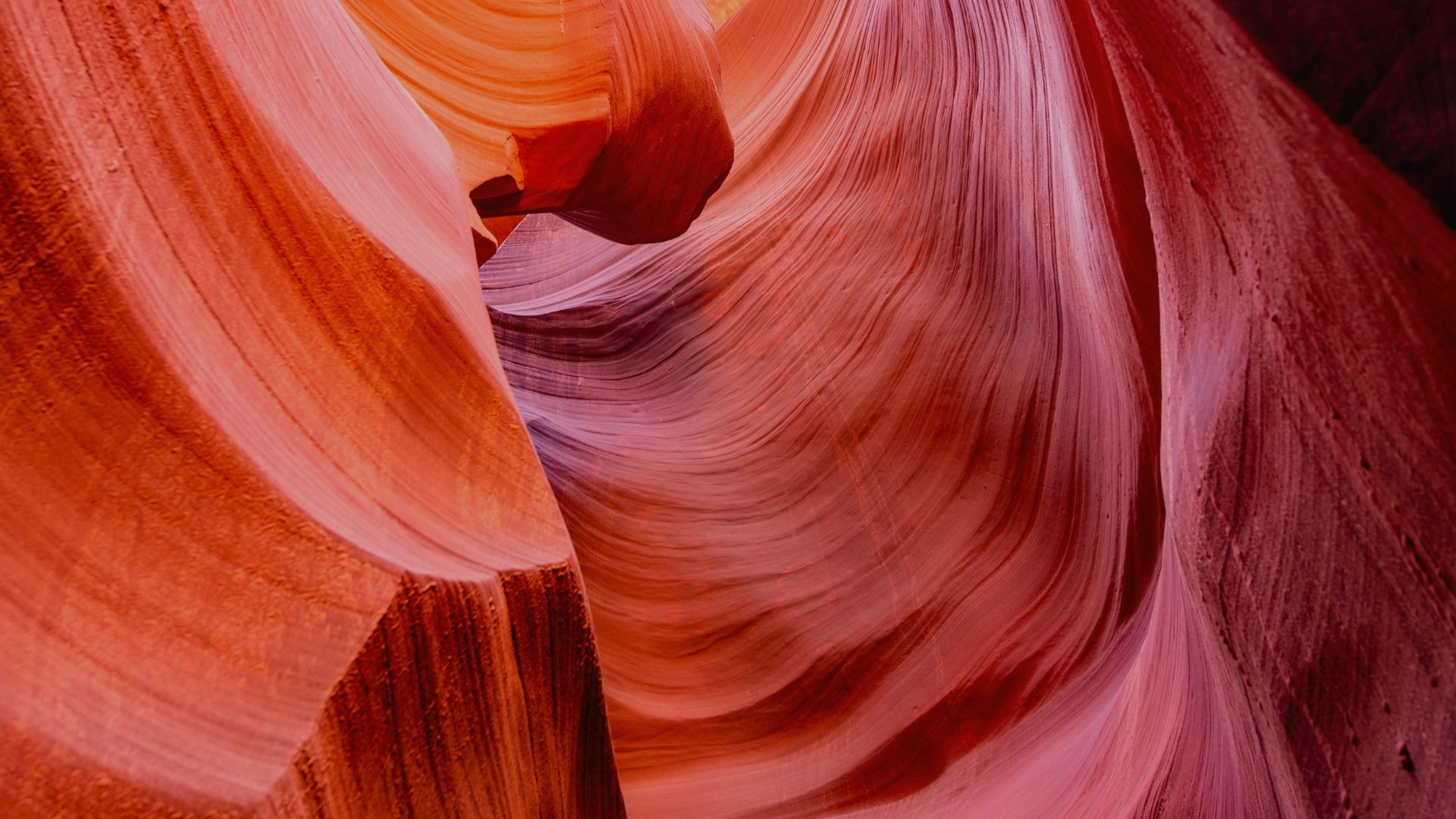 Grandiose Women and Shut Down Men