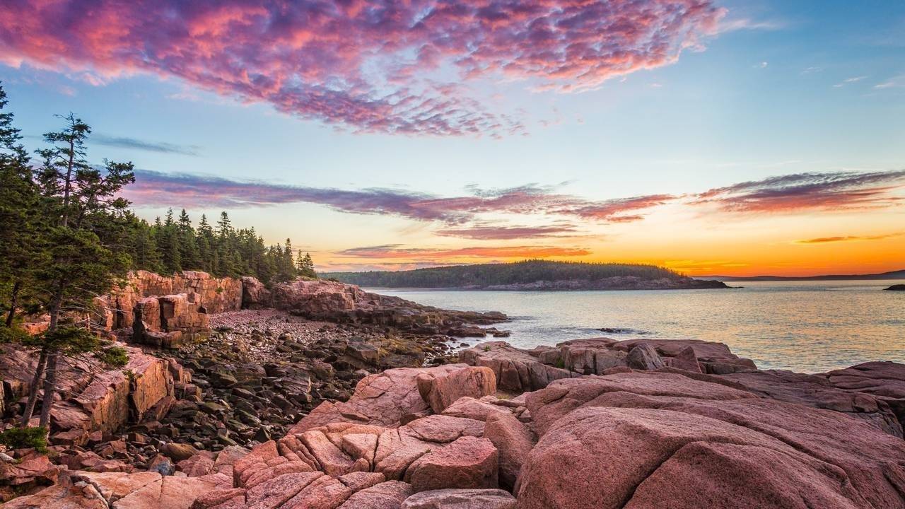 Love, Trauma, and Healing